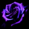 Rosen