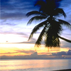 Strand avatare