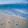Strand avatare