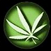 Weed