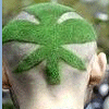 Weed avatare