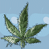 Weed