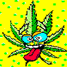 Weed