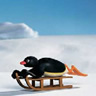 Pingu avatare