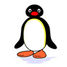 Pingu