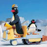 Pingu avatare