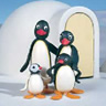 Pingu avatare