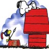 Snoopy avatare