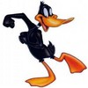 Daffy duck avatare