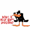 Daffy duck