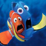 Findet nemo