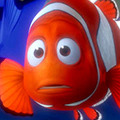 Findet nemo