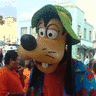 Goofy avatare