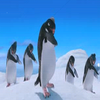 Happy feet avatare