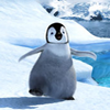 Happy feet avatare