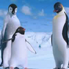 Happy feet avatare