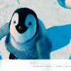 Happy feet avatare