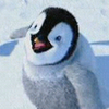 Happy feet avatare