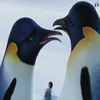 Happy feet avatare