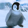 Happy feet avatare