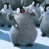 Happy feet avatare