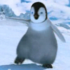 Happy feet avatare