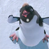 Happy feet avatare