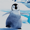 Happy feet avatare