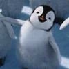 Happy feet avatare