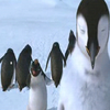 Happy feet avatare