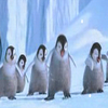 Happy feet avatare