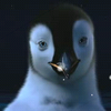 Happy feet avatare