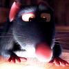 Ratatouille