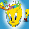 Tweety