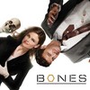 Bones