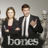 Bones