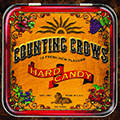 Counting crows avatare
