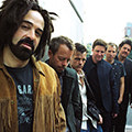 Counting crows