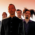 Counting crows