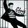 Elvis