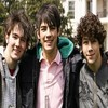 Jonas brothers avatare