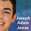 Jonas brothers avatare