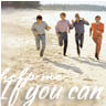 The beatles avatare