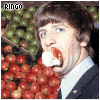 The beatles avatare