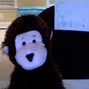 Affen avatare