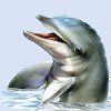Delfine avatare