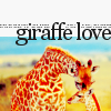 Giraffen