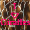 Giraffen avatare