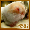 Hamstern