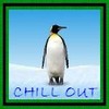 Pinguine avatare